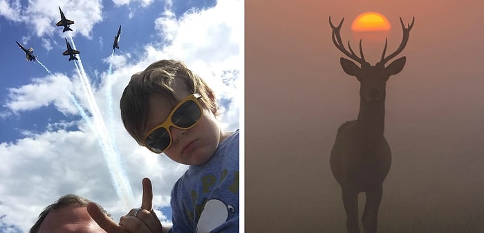 20 изумительных фото, сделанных в нужный момент, на которые стоит посмотреть дважды