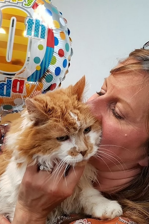 7. Самая старая кошка, когда-либо жившая на планете, согласно рекордным книгам, - это CremePuff. Она родилась 3 августа 1967 года и прожила до 6 августа 2005 года невероятные 38 лет и три дня! Рабл нужно время, прежде чем побить этот рекорд, но Мишель уже очень гордится своим достижением.