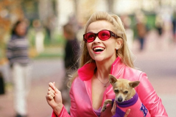 10. В сиквеле 2003 года «Блондинка в законе 2» Эль переезжает в Вашингтон и борется за права животных, узнав, что маму ее песика Великана использует для опытов косметическая компания.