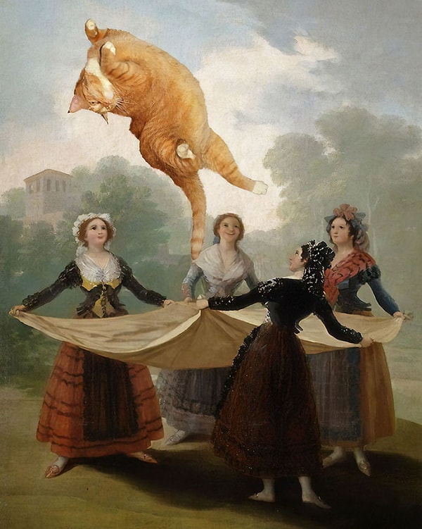 11. "С котом все веселее"