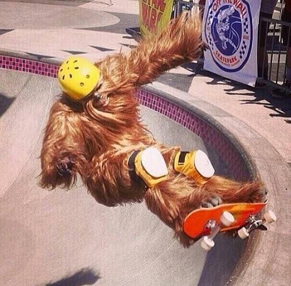 7. Чубакка на скейтборде, 1980-е гг.