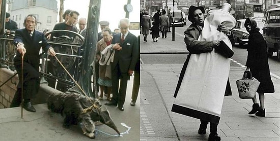 Дали с муравьедами, Чубакка на скейтборде и другие исторические фото, вызывающие удивление и улыбку