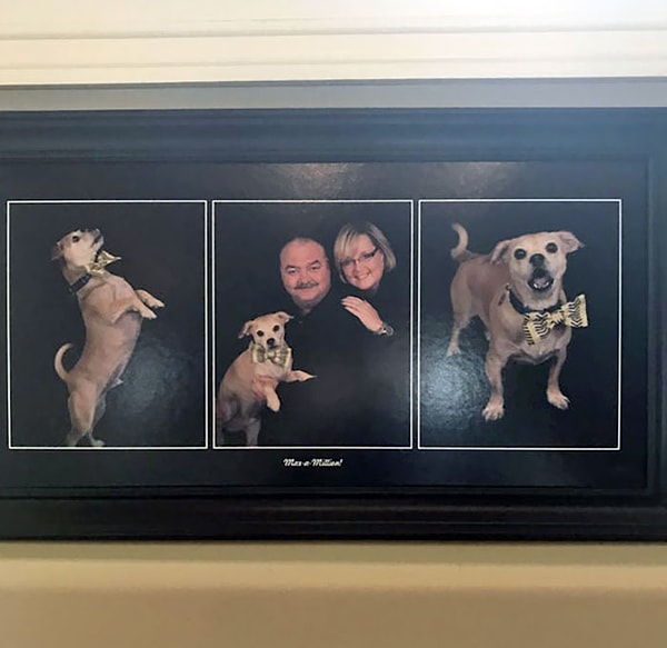 14. "Мой друг и его сестра отказались идти делать семейные фото с родителями. Но те не растерялись и окончательно определились с любимчиком в семье"