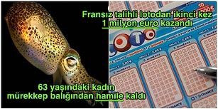 Dünyanın Dört Bir Yanından “Bu Kadarı da Olmaz Artık” Dedirten İnanılması Güç Haberler