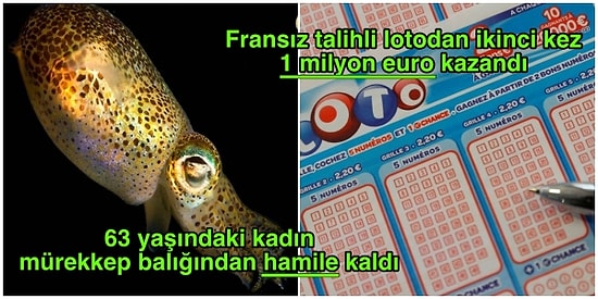 Dünyanın Dört Bir Yanından “Bu Kadarı da Olmaz Artık” Dedirten İnanılması Güç Haberler