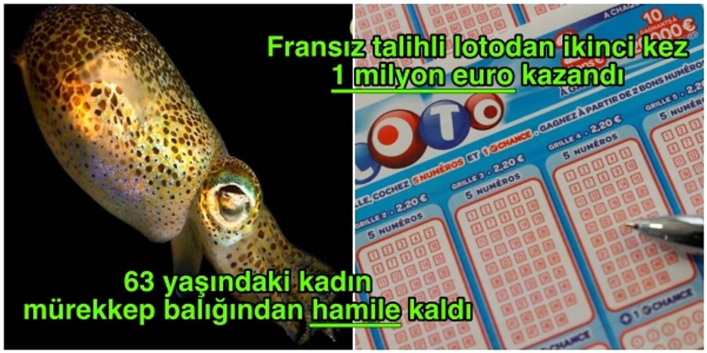 Dünyanın Dört Bir Yanından “Bu Kadarı da Olmaz Artık” Dedirten İnanılması Güç Haberler