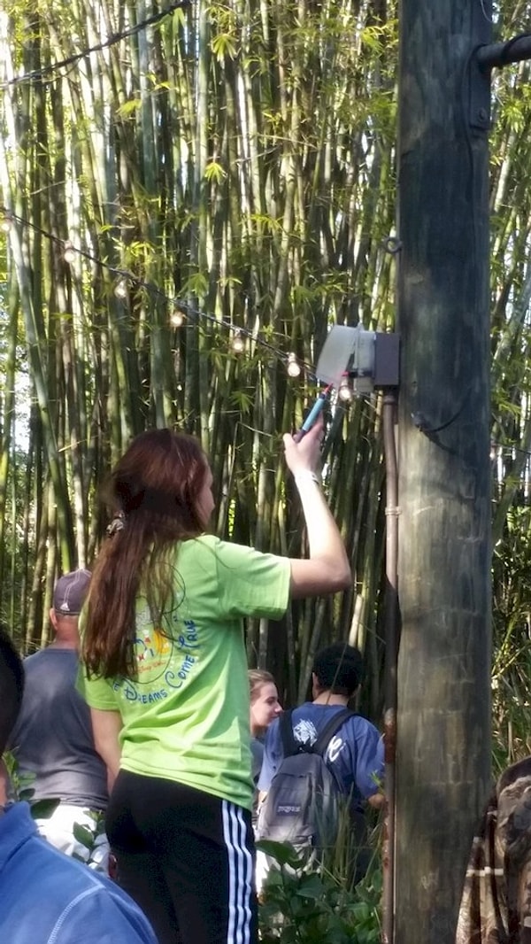 11. и любой ценой...