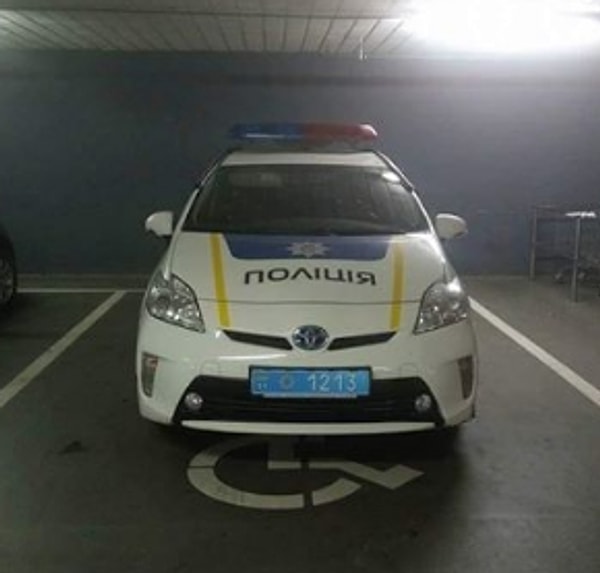 11. А это просто гвоздь программы!