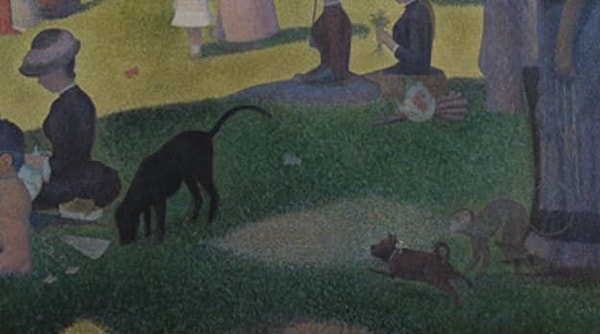 Показать правильный ответ