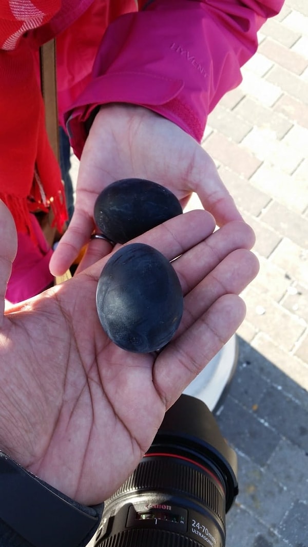 9. Сливы? Нет! Это тоже яйца, но сваренные в вулканической воде!