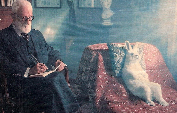 9. Фрейд, можно сказать, помогал продавать кушетки