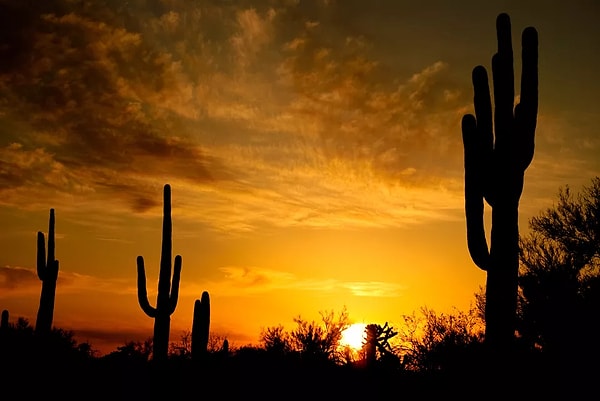 5- Финикс (Аризона)