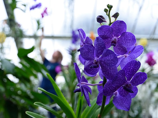 3. Какой из этих цветов так и бросается вам в глаза?