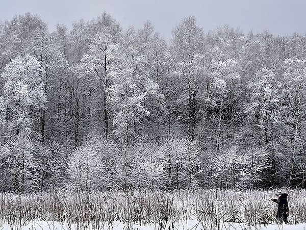 5. Какой цвет, по-вашему, доминирует на этой картинке?
