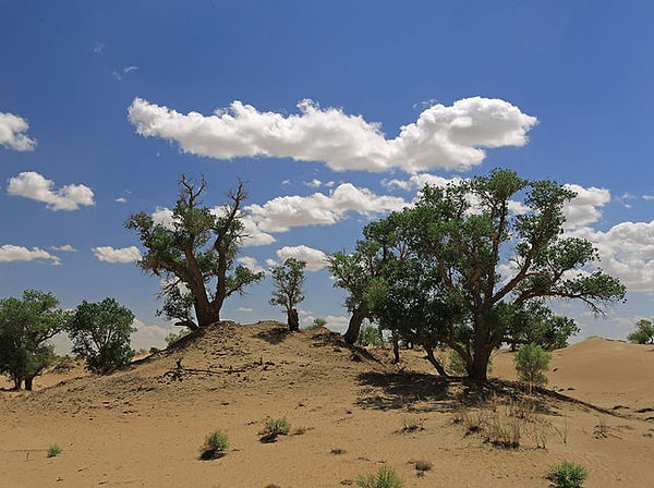 6. Ваш вердикт?