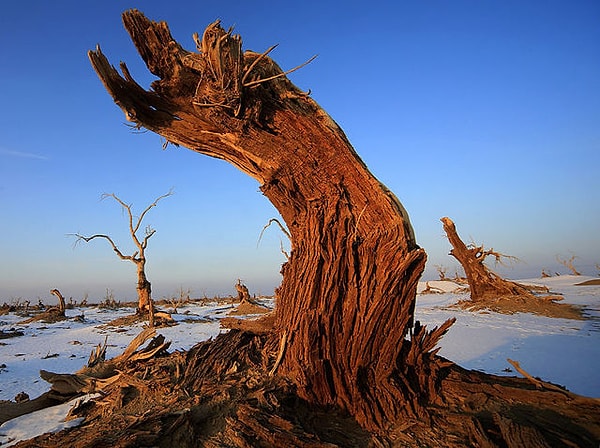 7. Какой же оттенок преобладает здесь?