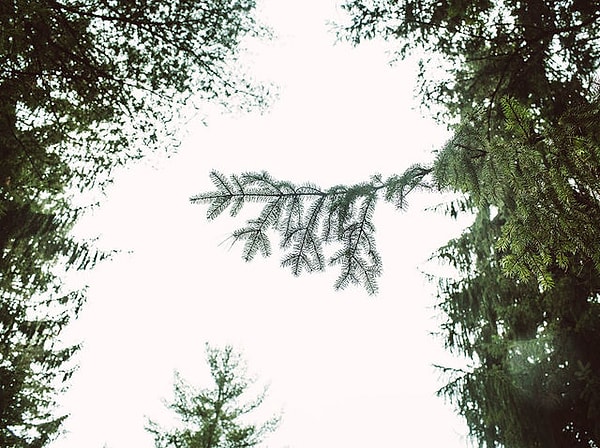 8. И последнее: