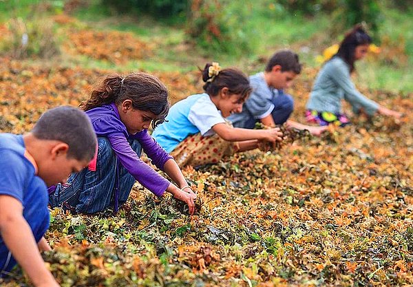 5-17 yaş aralığında 152 milyon çocuk işçi.