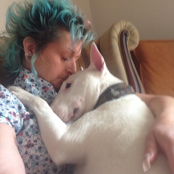 12. Некоторые из них являются бывшими боевыми собаками и страдают от повреждения головного мозга и других дефектов.