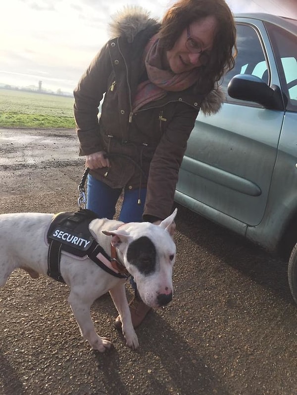 13. Собаки требуют постоянной заботы, и Лиз признает, что она обычно проводит около 18 часов в день, помогая бедным животным.