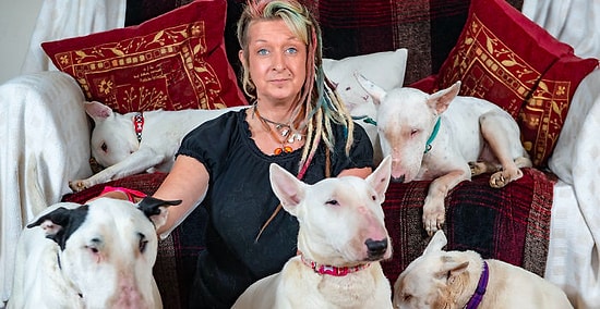 Жена сделала выбор в пользу любимых собак, а не мужа