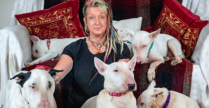 Жена сделала выбор в пользу любимых собак, а не мужа