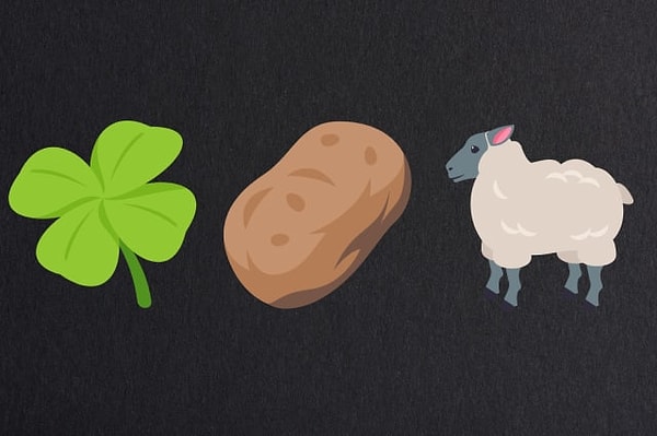 4. Какую страну представляют эти смайлики?