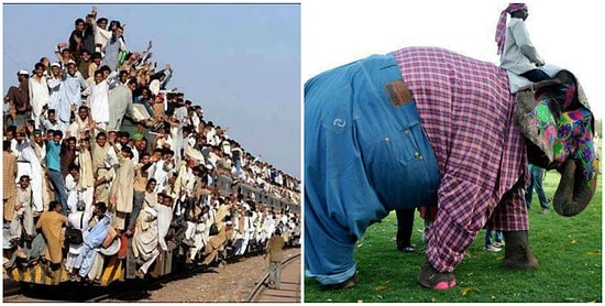 Моменты, с которыми можно столкнуться только в Индии