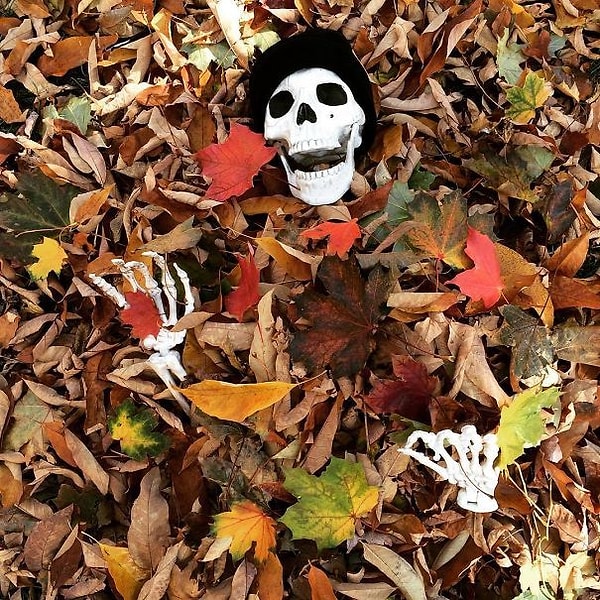 33. "Окунуться в осень с головой!"