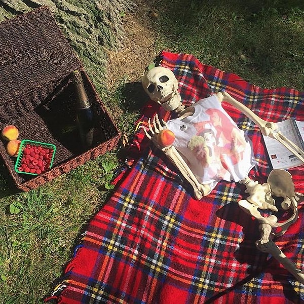 39. "Пикничок с глютен-фри ягодами и игристым вином!"