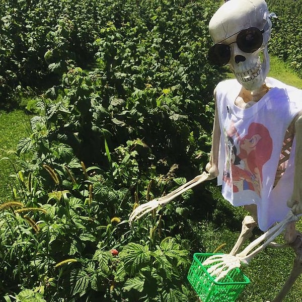 40. "Обожаю сама собирать ягоды летом!!! Природа - это прекрасно!"