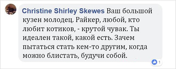 5. Были и те, кто поддержал мальчика на словах и передал ему множество теплых пожеланий: