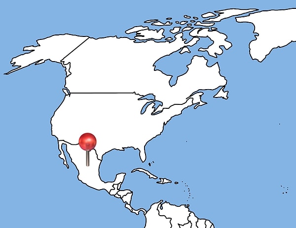 3. Узнаете государство Северной Америки?