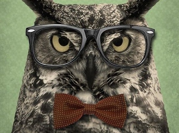 Неплохо, но еще есть над чем поработать!