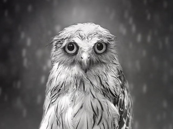 К сожалению, сегодня вас постигла неудача :(