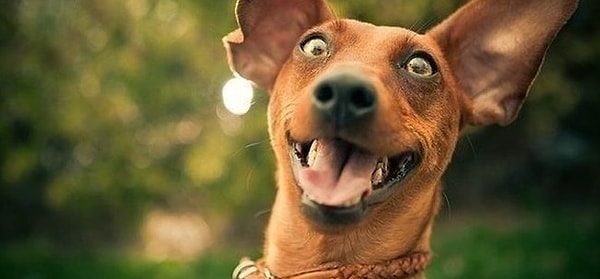 10. Сегодня пятница, и вы отправились тусить с друзьями. Что будете пить?