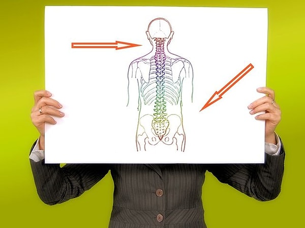 10. Аппендикс расположен в...?