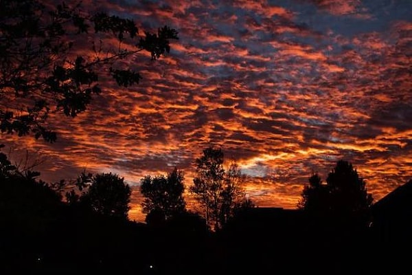 23. Высококучевые облака Altocumulus Castelanus или медузы.