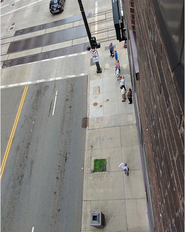 5. Прохожие начали собираться внизу для поддержки отважного енота.