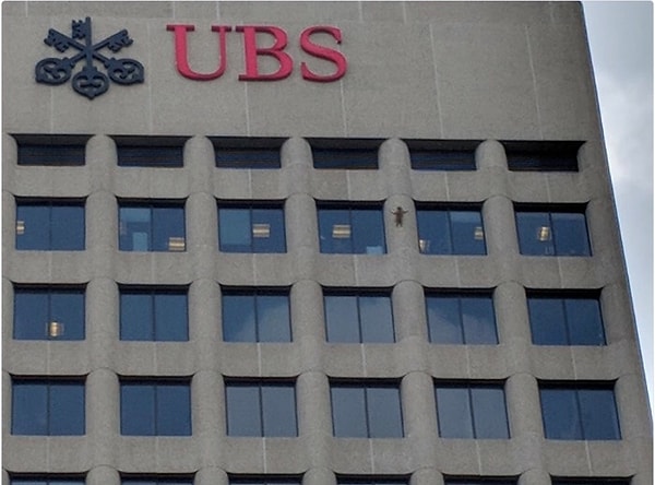 14. Немного подремав, зверек продолжил движение вверх.