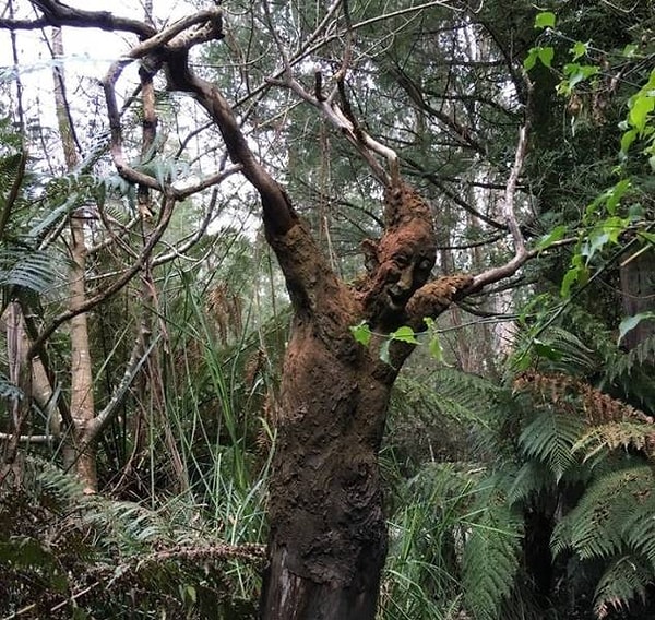 16. Леший всегда подскажет, в какую сторону идти