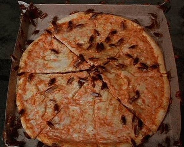 18. А вот теперь можно начинать корчиться от отвращения