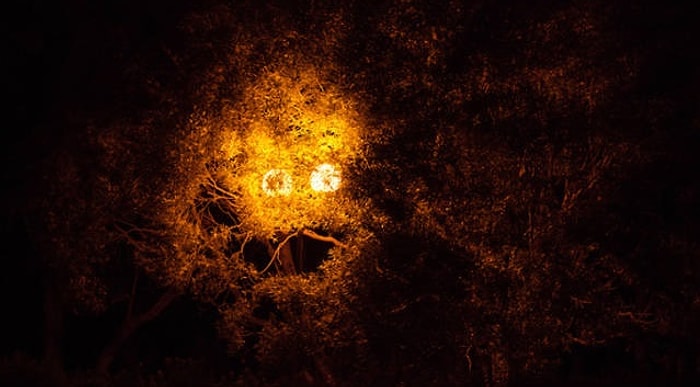 Страшные и неприятные фото, для просмотра которых вам понадобится вся ваша храбрость