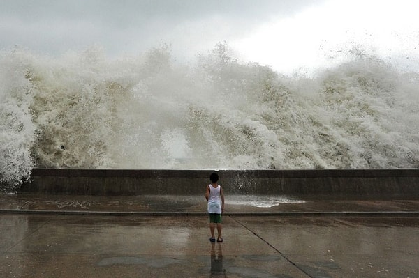 4. Похоже, в результате шторма в Желтом море образовались смерчи, отчего бедные креветки, осьминоги и морские звезды оказались на улицах города.