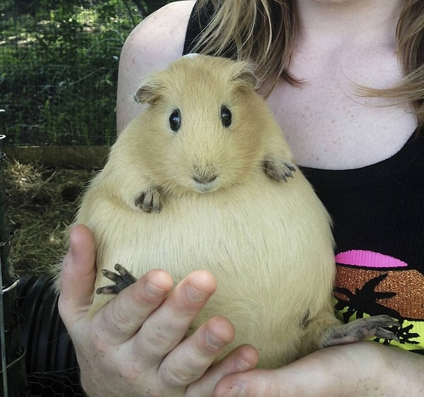 3. Снова хочу есть 😔