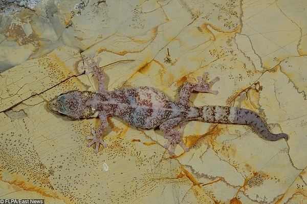 20. Ну да, поправилась...😒