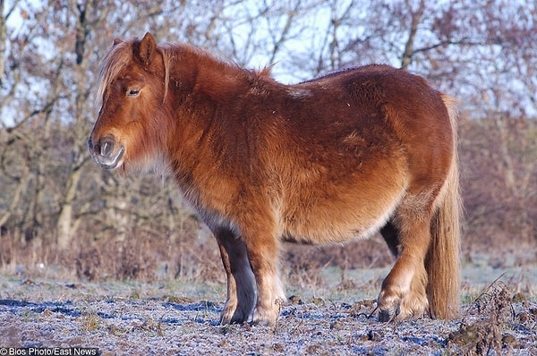 21. Малыш на подходе 😌