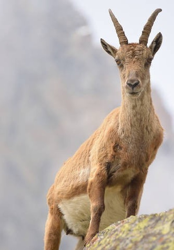 13. Когда там срок?