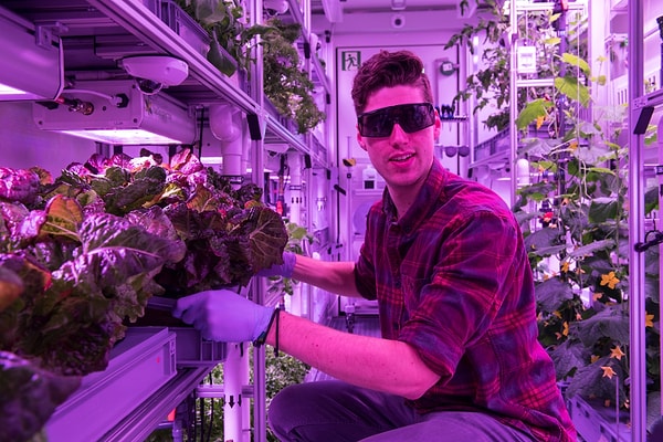 2. В Антарктиде был собран урожай из овощей, выращенных в теплице. Для этого не понадобились ни пестициды, ни почва, ни дневной свет.