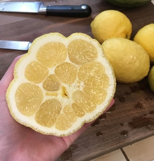 8. Что по лимонам? 🍋